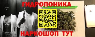 крисы Волгодонск