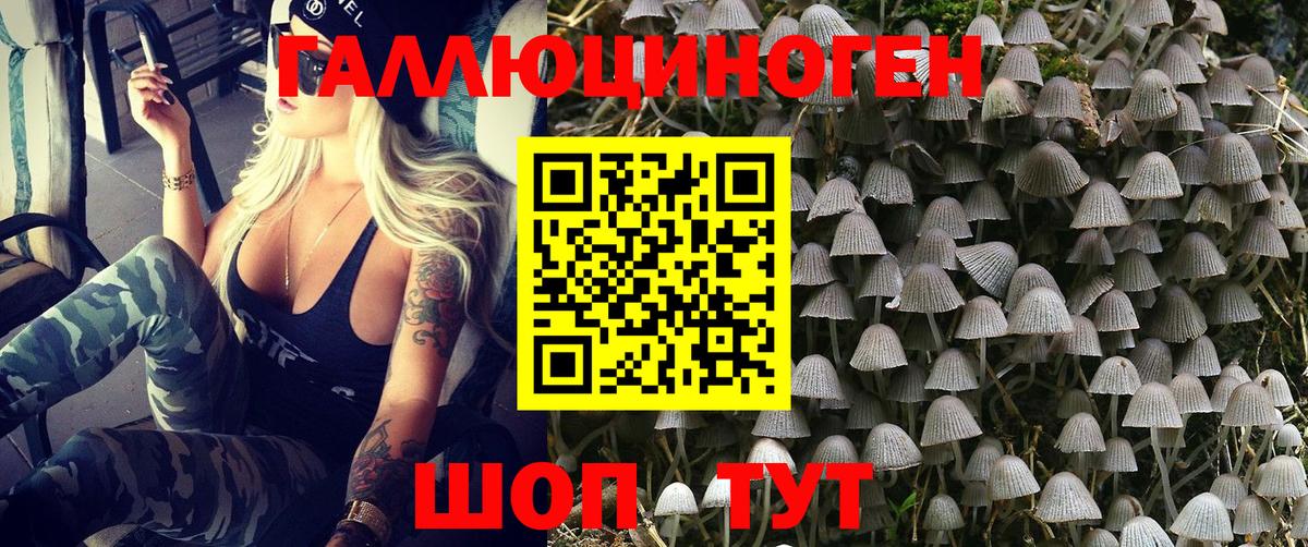 Псилоцибиновые грибы Psilocybe  Галлюциногенные грибы прущие грибы  Новодвинск  Вход с VPN 