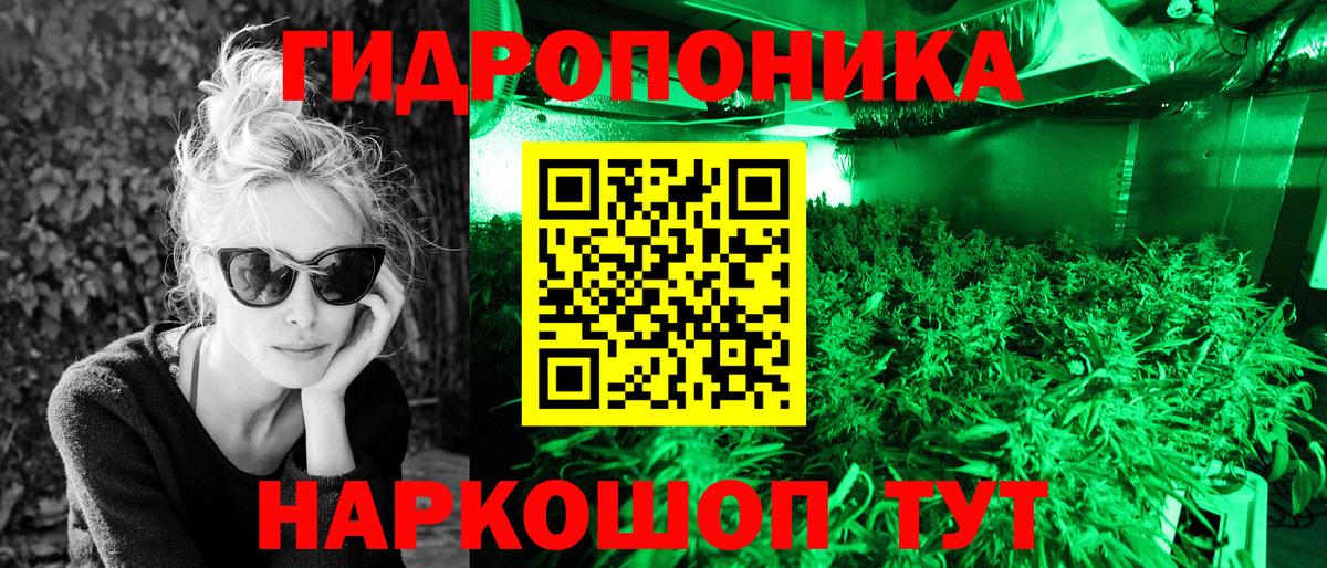 Каннабис план  Шишки марихуана ГИДРОПОН  Новодвинск  Канабис Bruce Banner  Вход с VPN 